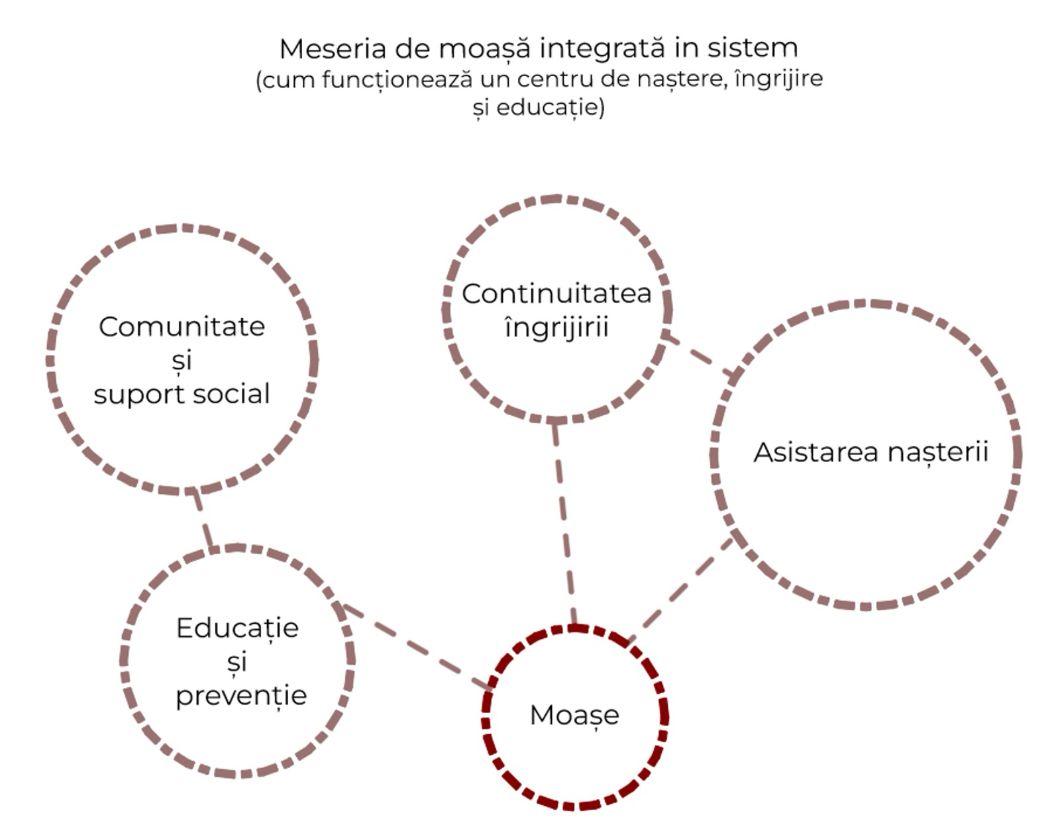 Dissertation diagram connecting midwifery with continuity, community, education and birth.