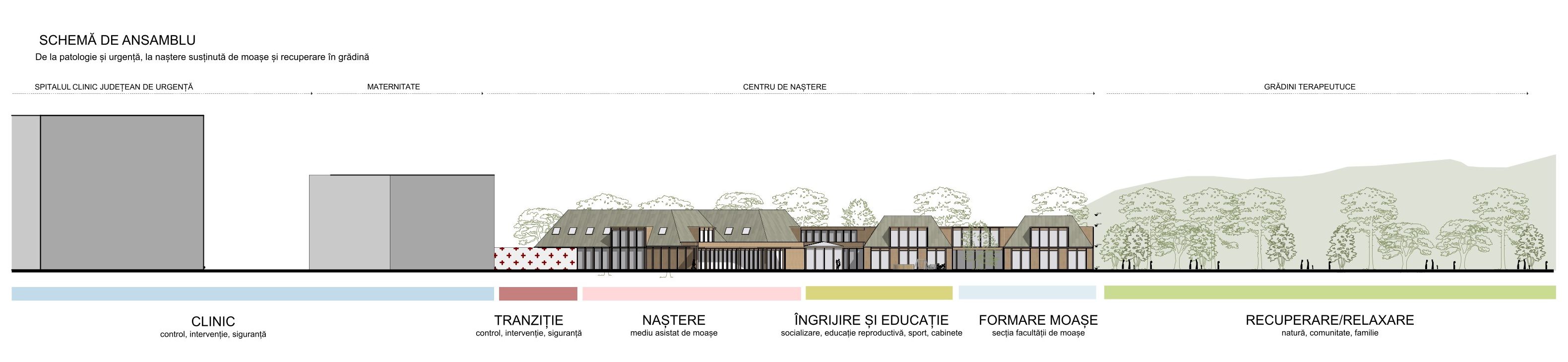 Architectural section moving from clinical infrastructure to birth care, education and nature.