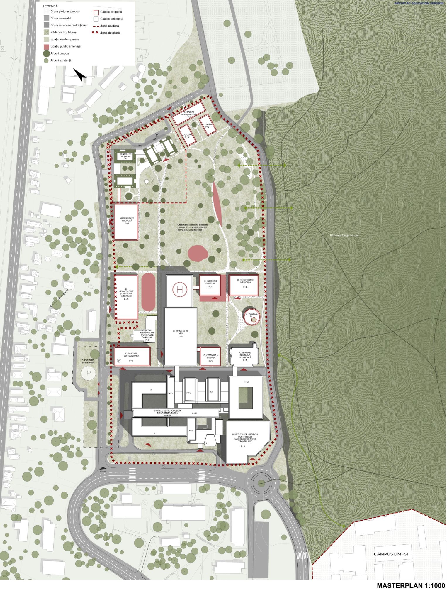 Proposed masterplan showing the buildings, gardens and pedestrian links.